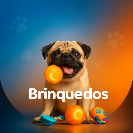 Brinquedos