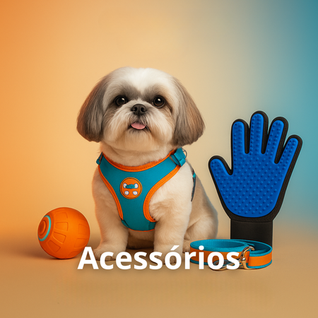 Acessórios