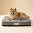 Colchão Ortopédico do Spitz Real™