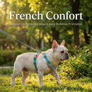 French Confort - Peitoral confortável e seguro para Bulldogs Franceses