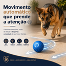 Bolinha Foco Pastor™ | Brinquedo Interativo para Pastor Alemão