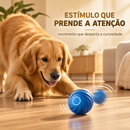GoldenPlay™ – Bolinha Inteligente Anti-Tédio