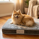 Colchão Ortopédico do Spitz Real™