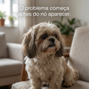 Escova Zen Shih™ - 5 Minutos por dia para um Shihtzu de Revista