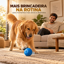 GoldenPlay™ – Bolinha Inteligente Anti-Tédio