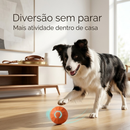 NeuroBall™ - O brinquedo inteligente que elimina o tédio e ativa a mente do seu cão