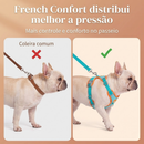 French Confort - Peitoral confortável e seguro para Bulldogs Franceses