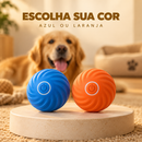 GoldenPlay™ – Bolinha Inteligente Anti-Tédio