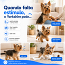 Bolinha Anti-Agito Yorkshire™ | Brinquedo Interativo Recarregável