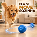 GoldenPlay™ – Bolinha Inteligente Anti-Tédio