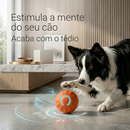 NeuroBall™ - O brinquedo inteligente que elimina o tédio e ativa a mente do seu cão