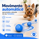 Bolinha Anti-Agito Yorkshire™ | Brinquedo Interativo Recarregável