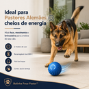 Bolinha Foco Pastor™ | Brinquedo Interativo para Pastor Alemão