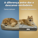 Colchão Ortopédico do Spitz Real™