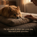 Colchão Ortopédico do Spitz Real™