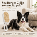 Border Coat™ | Escova Vaporizada para Border Collie