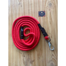 Combo Implacável – Guia Reforçada + Enforcador de Aço para Rottweiler