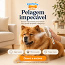 Chow-Care™ - Escova Vaporizada para Chow Chow (Remove Subpelo)