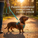 Dash Confort - Peitoral Ajustável para Passeios Confortáveis e Seguros