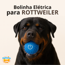 Bola de Brinquedo Elétrica para Rottweiler