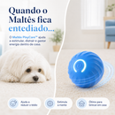 Maltês PlayCare™ - Bolinha Interativa Anti-Tédio para Maltês
