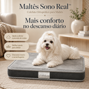 Maltês Sono Real™- Colchão Ortopédico para Maltês