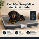 Colchão Ortopédico do Salsichinha