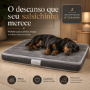 Colchão Ortopédico do Salsichinha