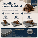 Colchão Ortopédico do Salsichinha