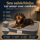 Colchão Ortopédico do Salsichinha