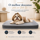 Colchão Ortopédico do Shih-Tzu