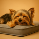 Colchão Ortopédico do Yorkshire™