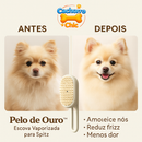 Pelo de Ouro™ | Escova Vaporizada para Spitz Alemão