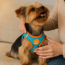 Colete Yorkshire Royal™ — O Conforto e a Elegância Que Seu York Merece