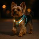 Colete Yorkshire Royal™ — O Conforto e a Elegância Que Seu York Merece