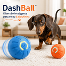 DashBall™