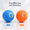 DashBall™