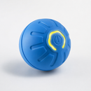 DashBall™