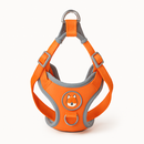 Colete Spitz Comfort™ — Um Passeio Calmo Começa Aqui