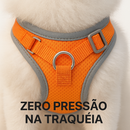 Colete Spitz Comfort™ — Um Passeio Calmo Começa Aqui