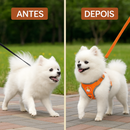 Colete Spitz Comfort™ — Um Passeio Calmo Começa Aqui