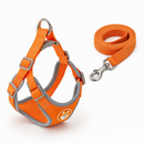 Colete Spitz Comfort™ — Um Passeio Calmo Começa Aqui