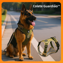 Colete Guardião™ – Potência, Postura e Proteção para Pastores Alemães