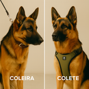 Colete Guardião™ – Potência, Postura e Proteção para Pastores Alemães