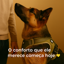 Colete Guardião™ – Potência, Postura e Proteção para Pastores Alemães