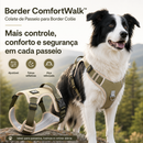 Border ComfortWalk™ -  Colete de Passeio para Border Collie