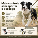 Border ComfortWalk™ -  Colete de Passeio para Border Collie