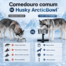 Husky ArcticBowl - Comedouro Elevado Ajustável para Husky Siberian