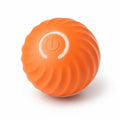 Poodle GeniusBall™ | Bolinha Inteligente Anti-Tédio para Poodles