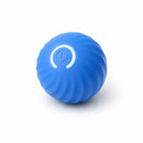 Poodle GeniusBall™ | Bolinha Inteligente Anti-Tédio para Poodles